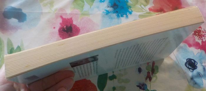 La Tour de Malvent de Gilbert Bordes Ed. Belfond - photo numéro 4