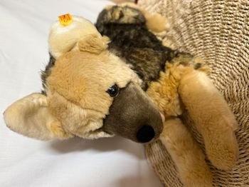 Steiff  Berger allemand en peluche « Mike » couché, 37 cm