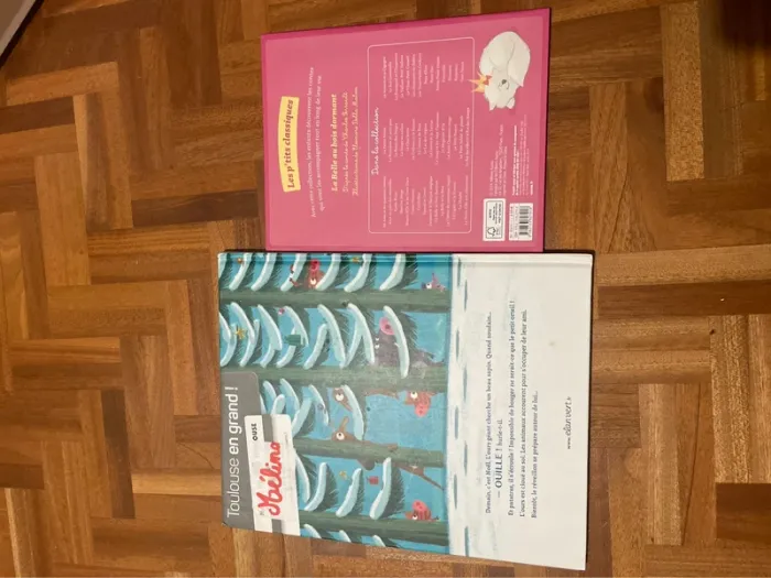 Lot livre - photo numéro 2