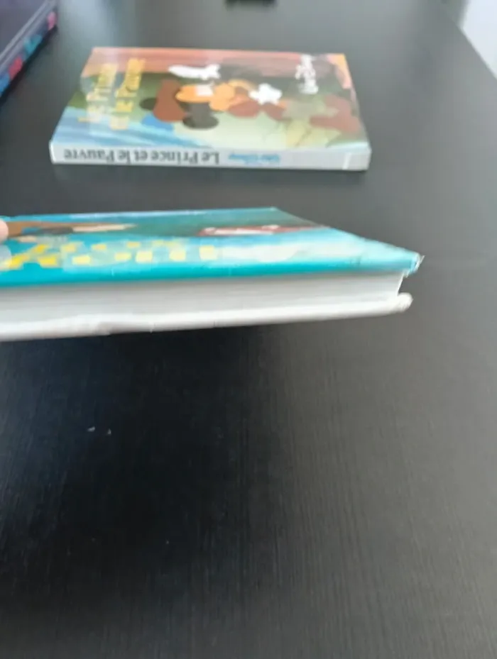 Livre Rox et Rouky - photo numéro 2