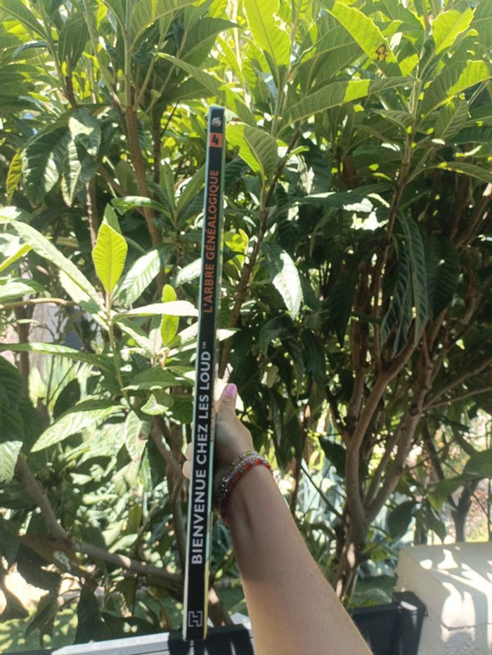Bd Bienvenue chez les Loud l'arbre généalogique - photo numéro 3