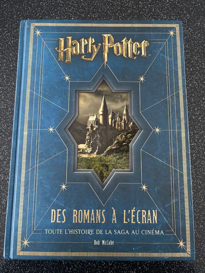 Harry Potter - des romans à l’écran