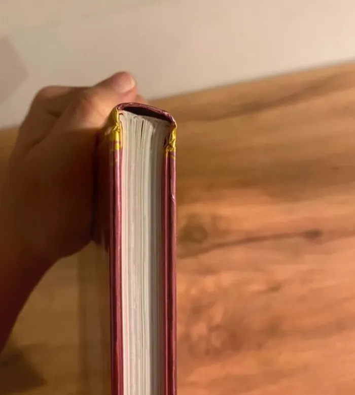 Lot de livres princesses - photo numéro 17