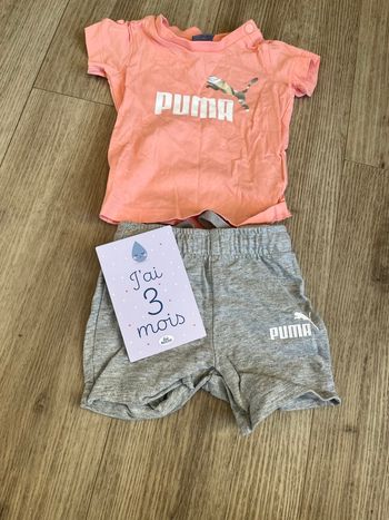 Ensemble puma