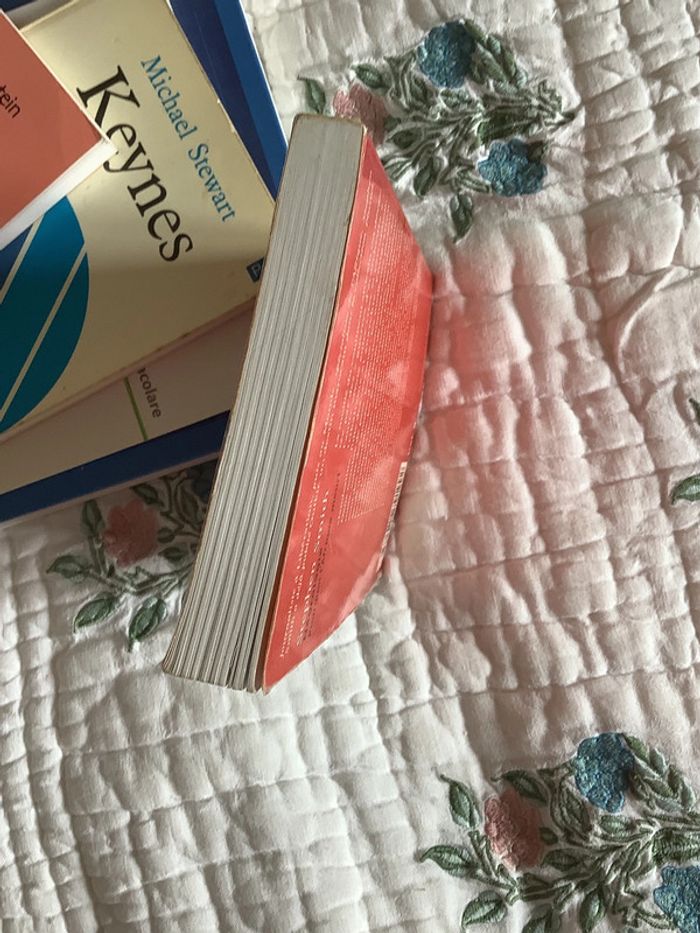 Négrologie, pourquoi l’Afrique meurt, par Stephen Smith - photo numéro 6