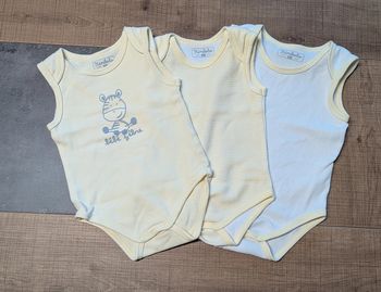 Lot 3 bodies sans manches