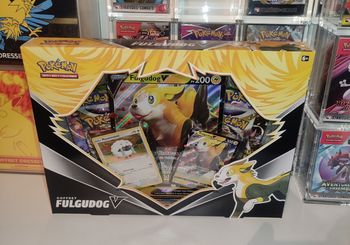 Coffret pokémon  fulgudog