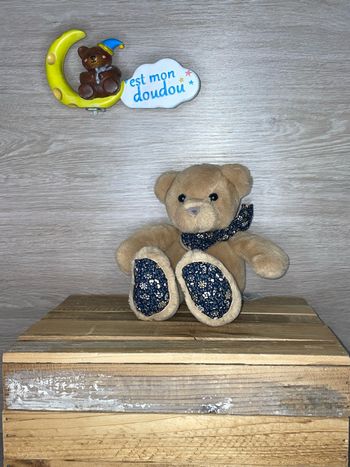 HD179 doudou ours 🐻 histoire d’ours
