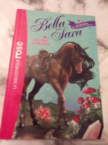 Livre Le  trésor d'Eléonore La bibliothéque rose