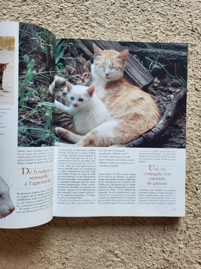 Livre "Les chats, comportement et caractères" - Éditions Atlas - photo numéro 7