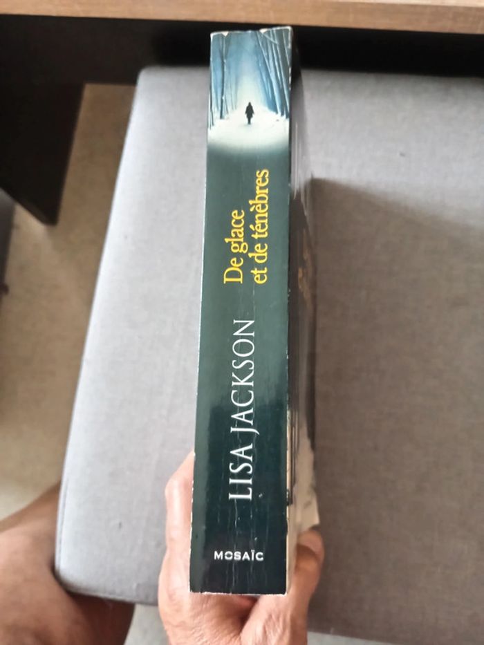 Livre De glace et de ténèbres - photo numéro 4