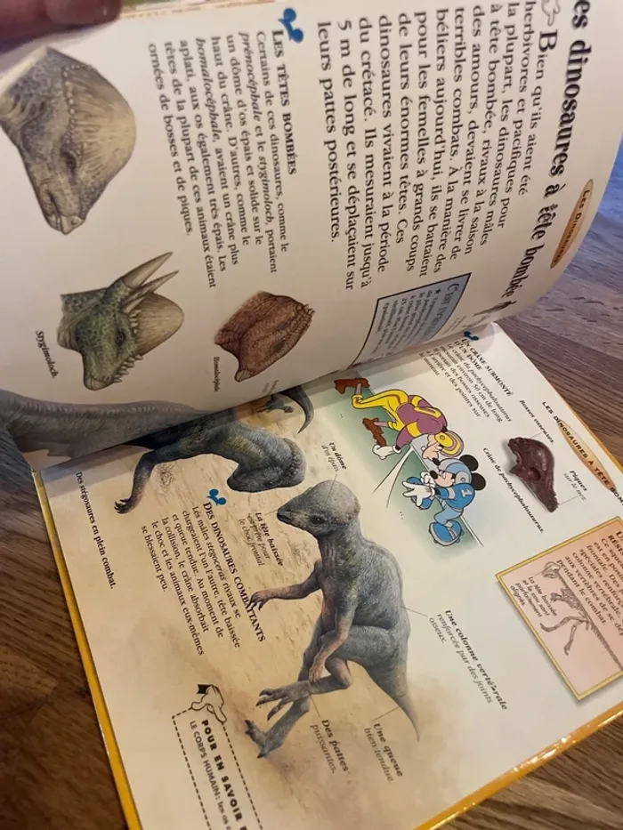 Livre Disney Le monde merveilleux de la connaissance Les Dinosaures - photo numéro 7