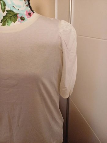 Camisetas Massimo Dutti nueva