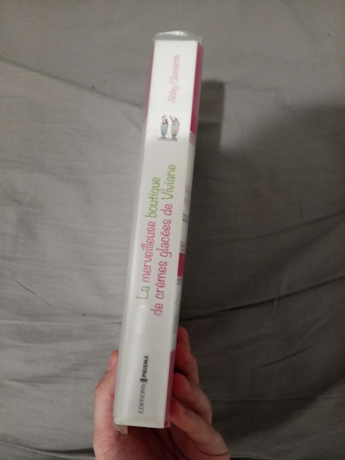 Livre (168) 📚 La merveilleuse boutique de crèmes glacées de Viviane - photo numéro 4