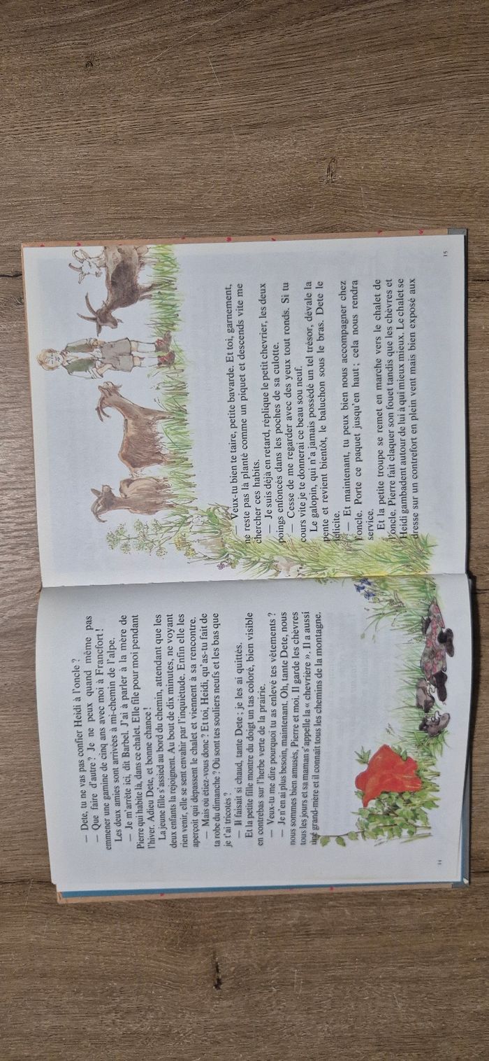 Livre Heidi - photo numéro 4