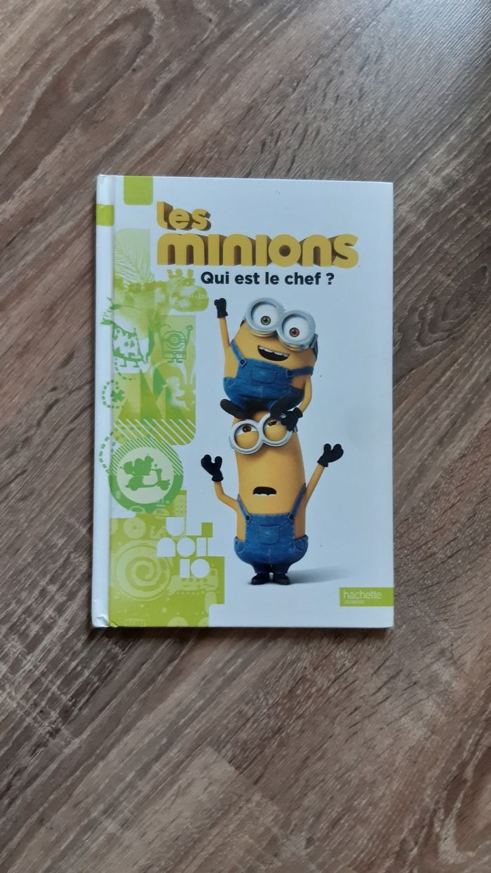 Livre Hachette Jeunesse Les Minions