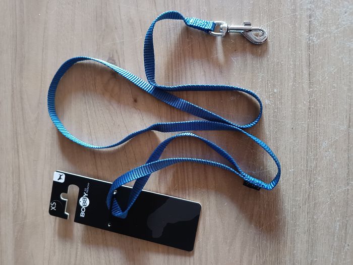 Laisse bobby bleu taille Xs