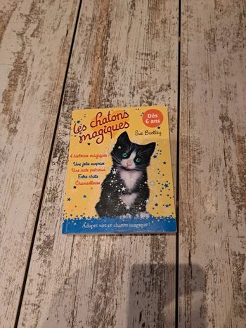 4 histoires les chatons magiques