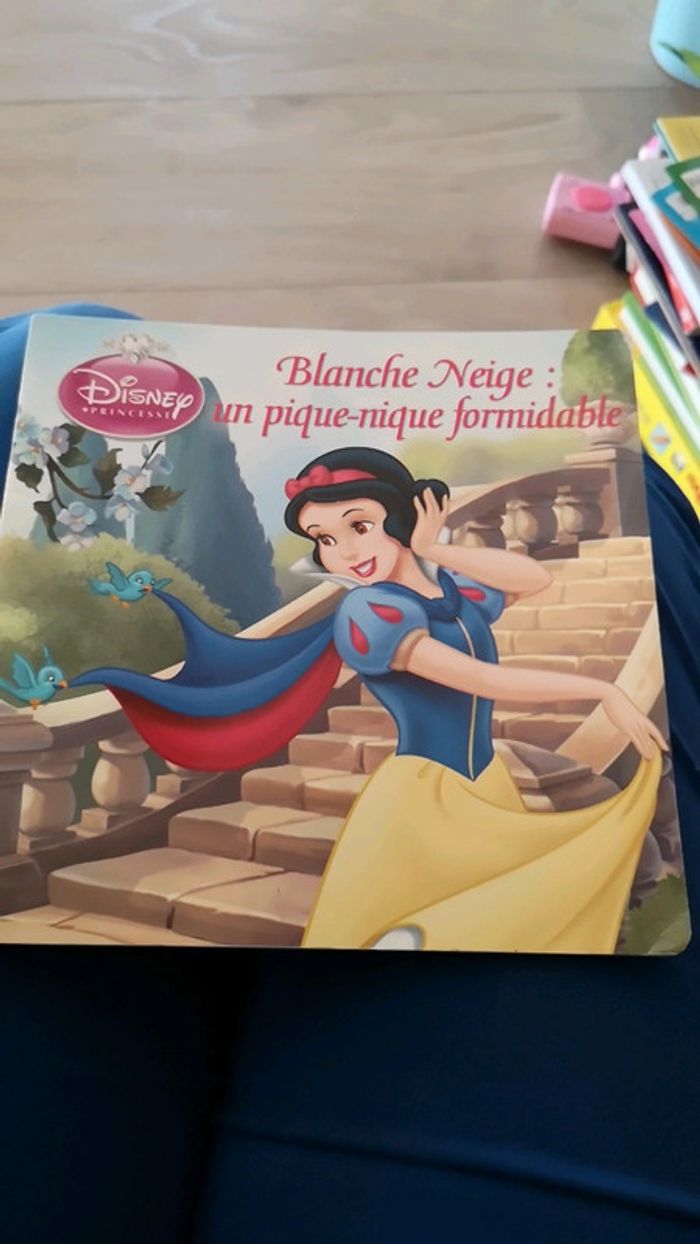 Livre blanche neige Disney hachette