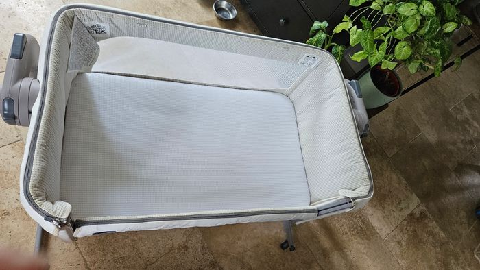 Cododo next to me Chicco - photo numéro 4