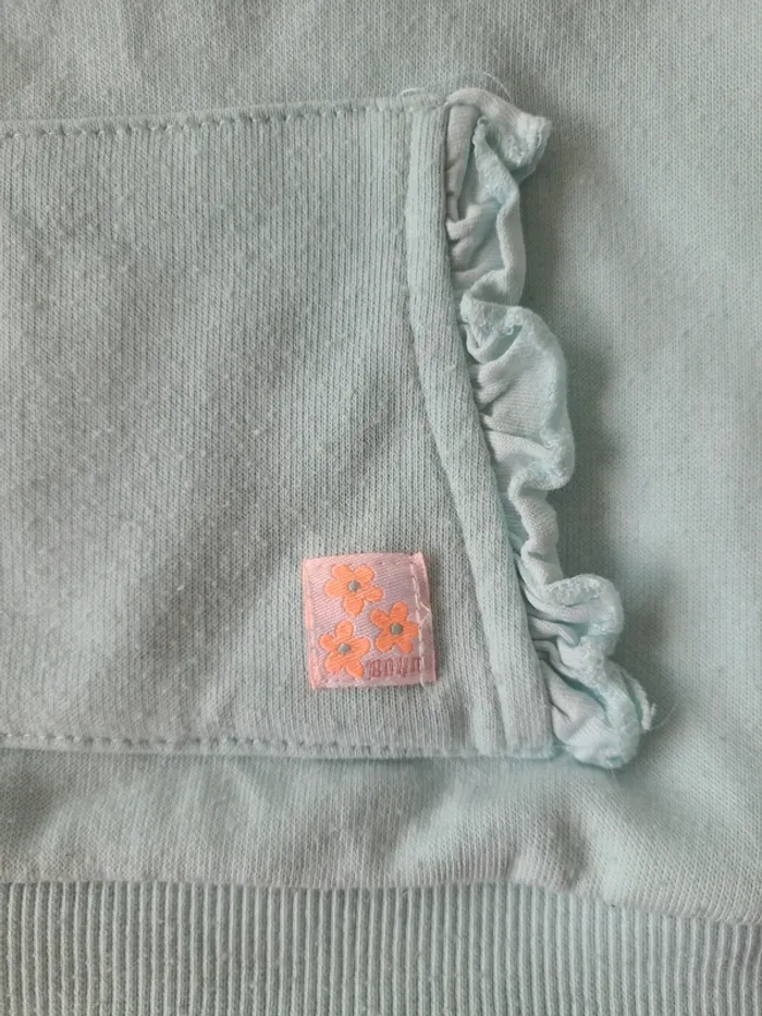 Sweat bleu clair 12 mois - photo numéro 2