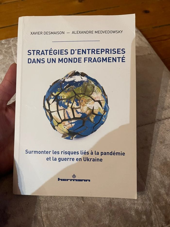 Stratégies d’entreprises dans un monde fragmenté- Xavier Desmaison