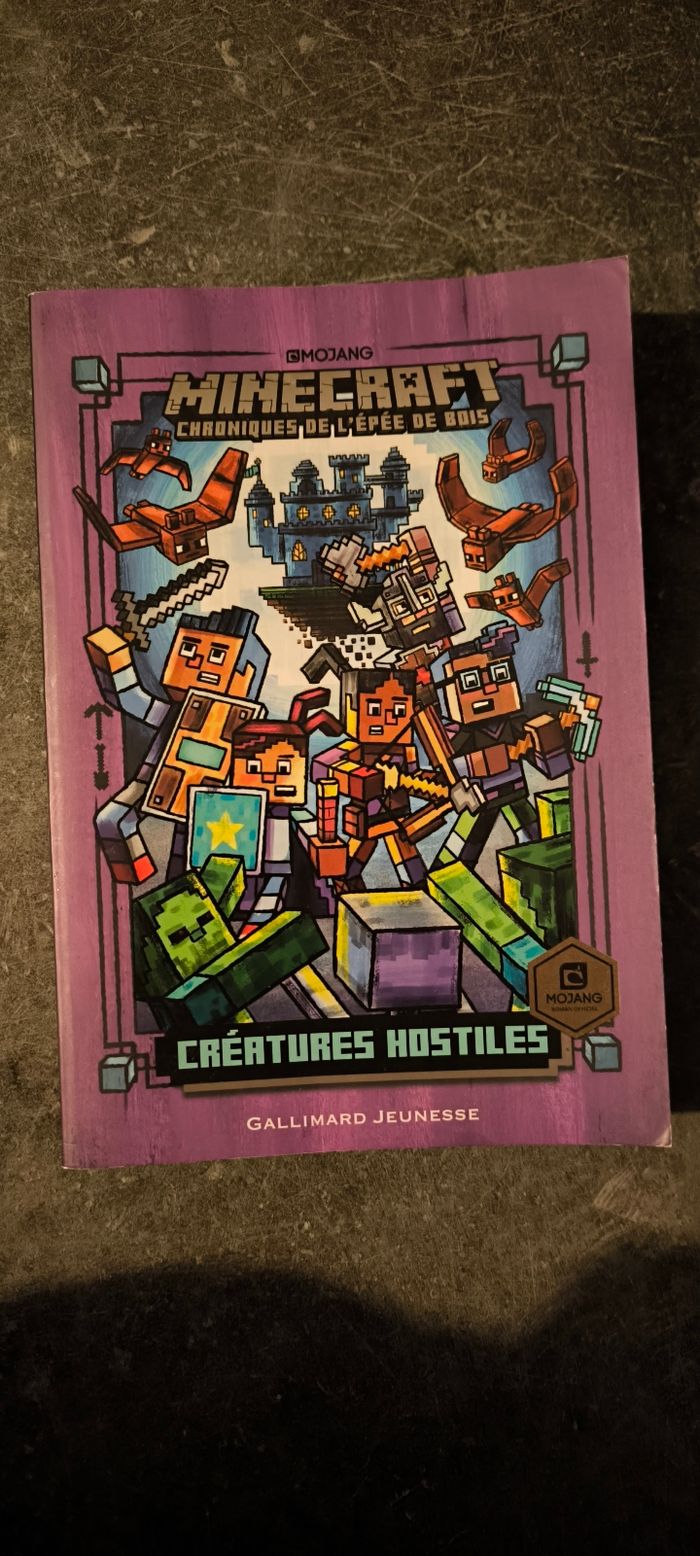 Livre Minecraft
