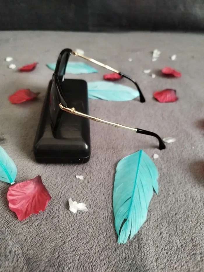 Lunettes de soleil (boitier NON inclu) - photo numéro 2