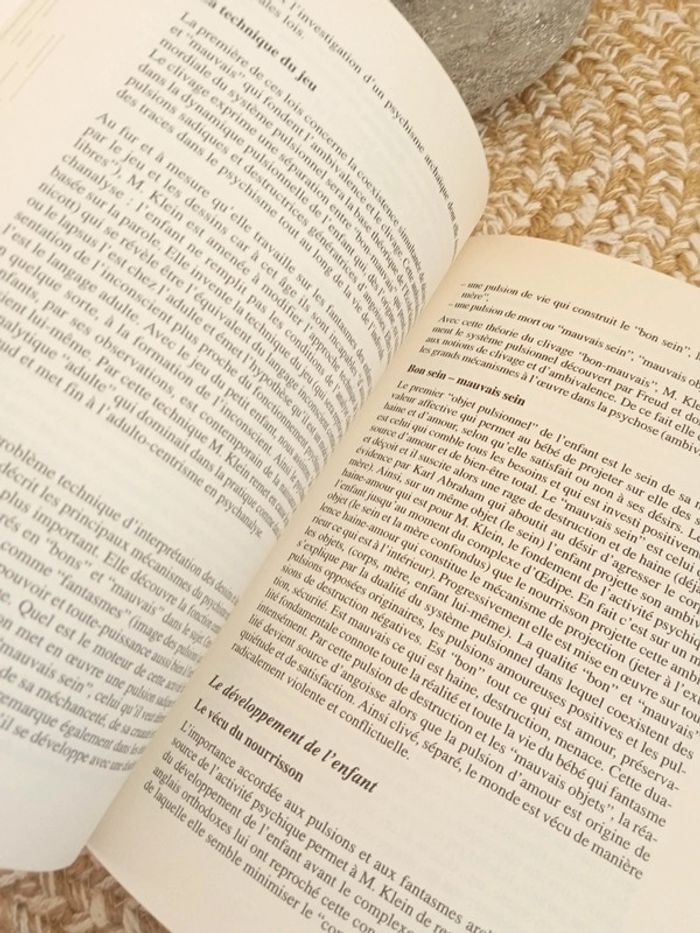 Les courants de la psychologie - photo numéro 8