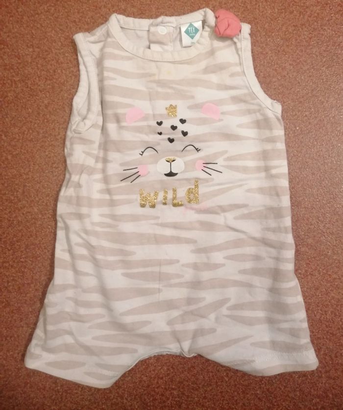 Body zèbré chat bébé