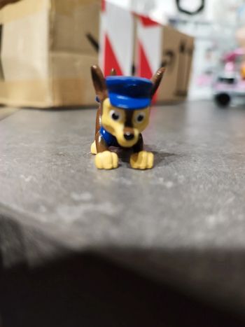 Chase Pat' patrouille