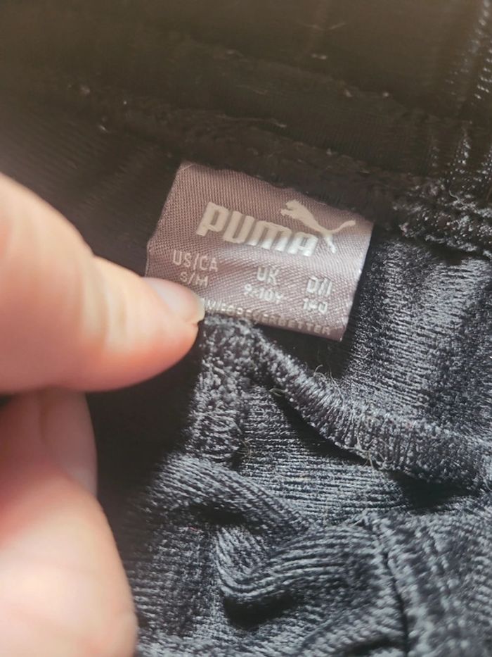 Ensemble puma - photo numéro 14