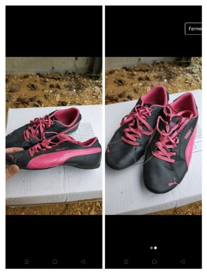 Basket puma