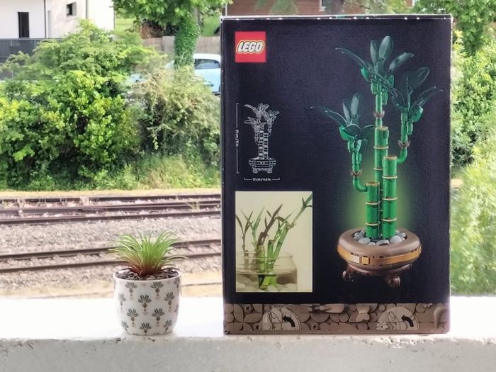 Lego bambou et Mini plante céramique - photo numéro 3