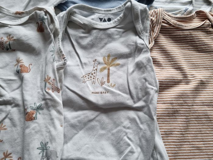 Bodie - photo numéro 2