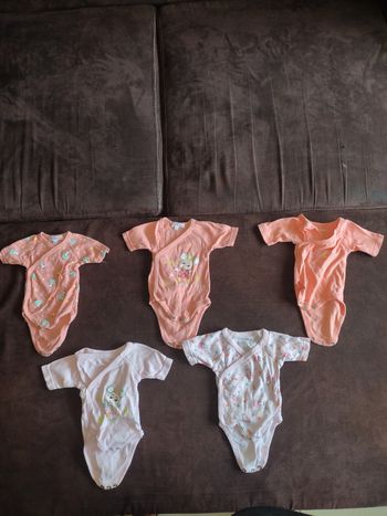 Lot de 5 bodies manches courtes