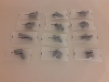 Lot de 12 bouchons d'oreilles