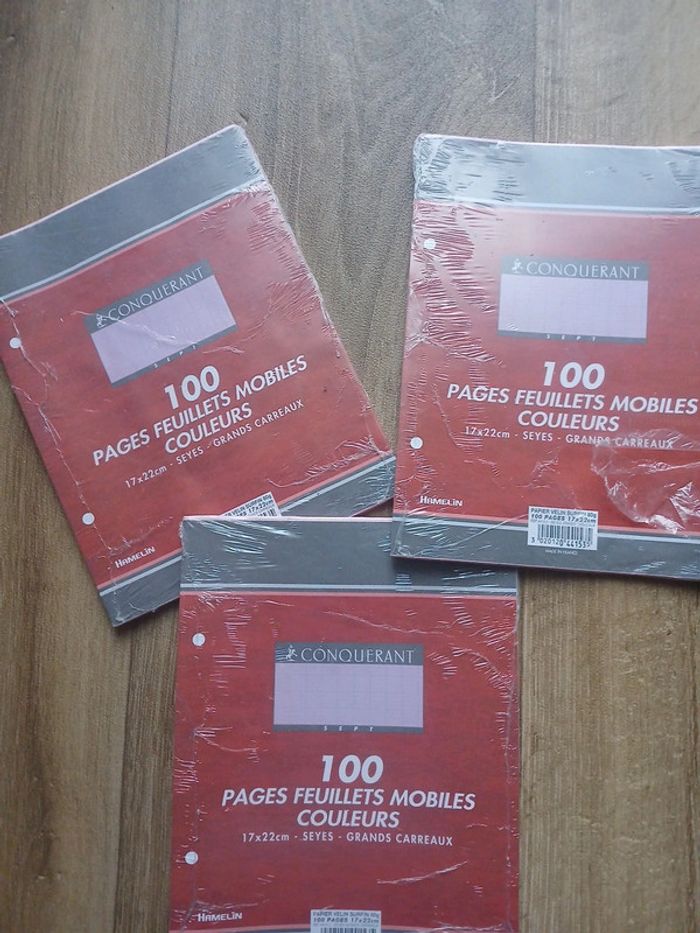 Lot de 3 paquets à grand carreaux petits format 100 feuilles 🌹