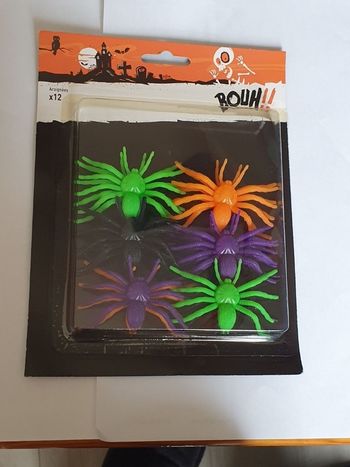 Boîte de 12 araignées