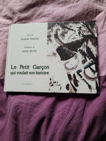 Le petit garçon qui voulait son histoire
