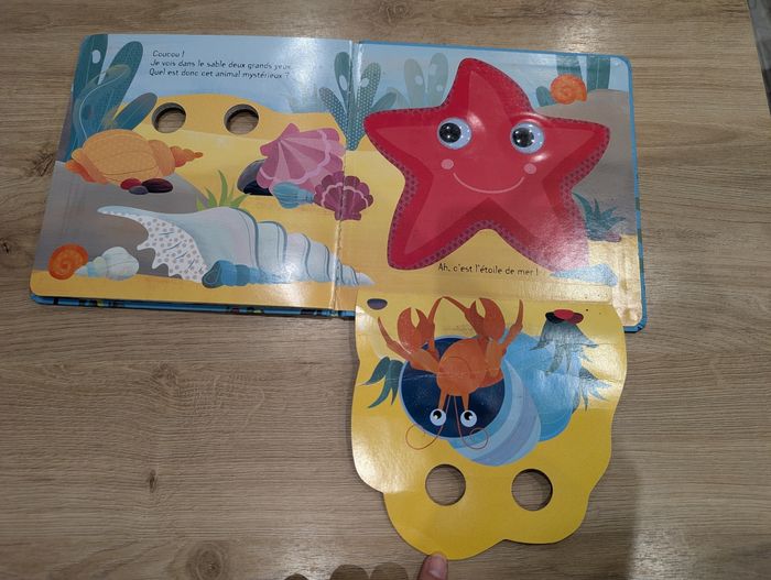 Coucou sous l'océan - photo numéro 4