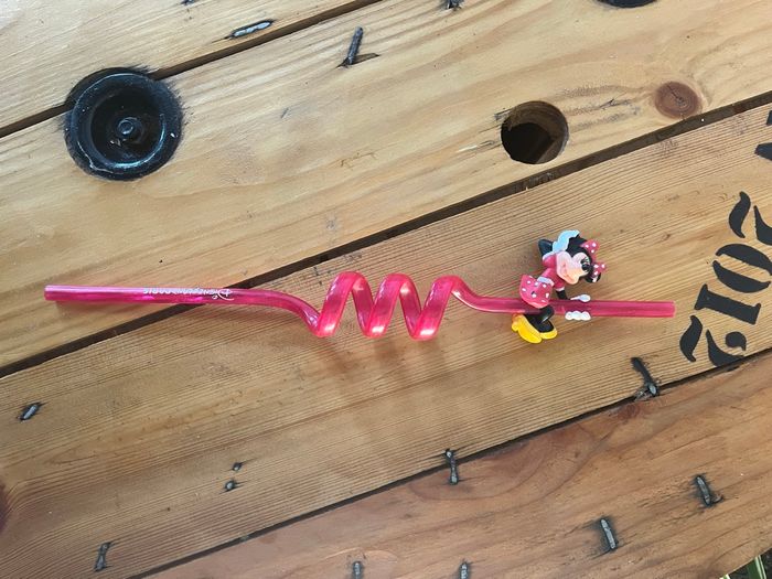 Paille Disney Minnie