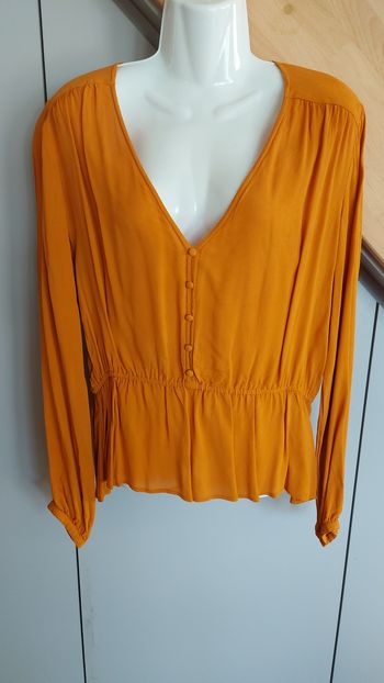 Blouse/chemisier