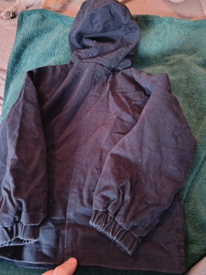 Veste zippée - photo numéro 2