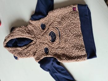 Paddington 3 ans