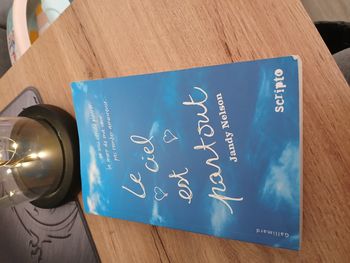 LIVRE LE CIEL EST PARTOUT DE JANDY NELSON 