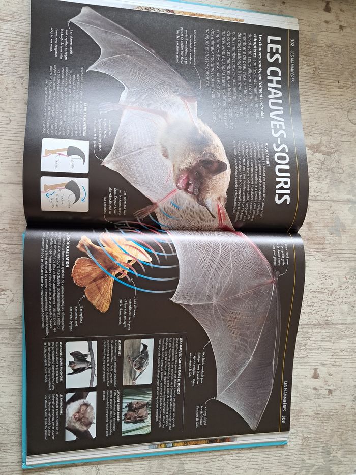 La grande encyclopédie visuelle de la nature - photo numéro 7