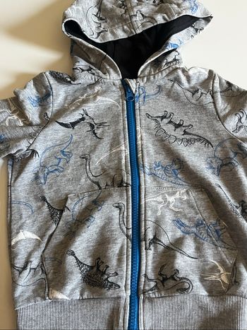 Veste zippée dinosaure