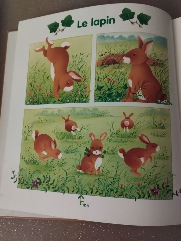 Livre Je lis avec les animaux de la forêt Ed Lito - photo numéro 2