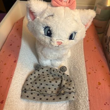 Bonnet